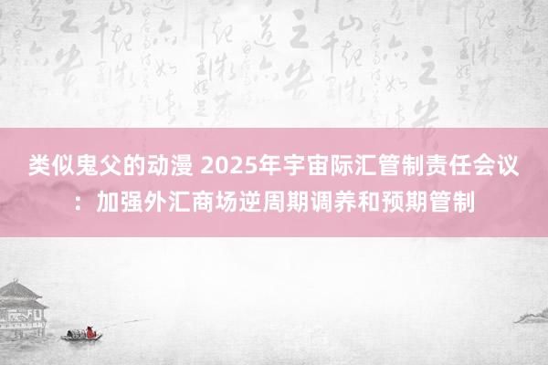 类似鬼父的动漫 2025年宇宙际汇管制责任会议：加强外汇商场逆周期调养和预期管制