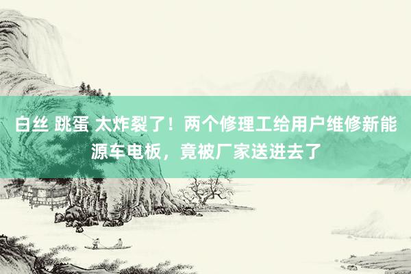 白丝 跳蛋 太炸裂了！两个修理工给用户维修新能源车电板，竟被厂家送进去了