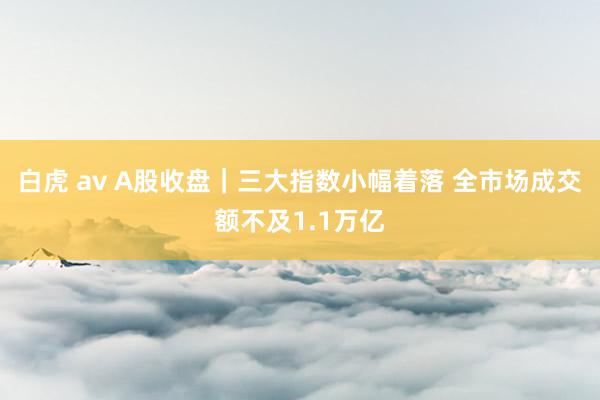 白虎 av A股收盘｜三大指数小幅着落 全市场成交额不及1.1万亿