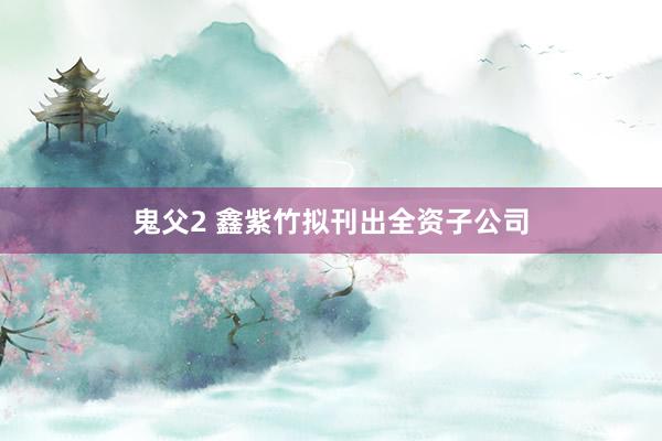 鬼父2 鑫紫竹拟刊出全资子公司