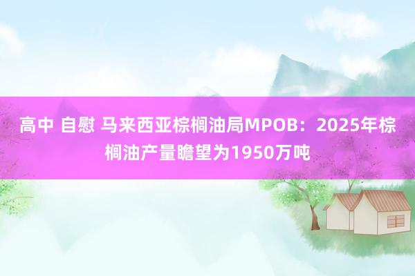 高中 自慰 马来西亚棕榈油局MPOB：2025年棕榈油产量瞻望为1950万吨