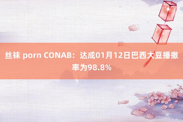 丝袜 porn CONAB：达成01月12日巴西大豆播撒率为98.8%