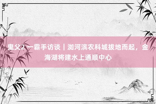 鬼父2 一霸手访谈｜洳河滨农科城拔地而起，金海湖将建水上通顺中心