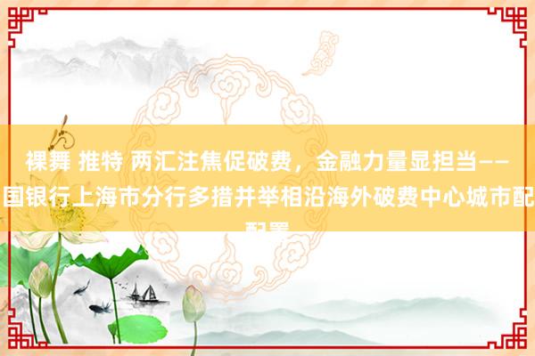 裸舞 推特 两汇注焦促破费，金融力量显担当——中国银行上海市分行多措并举相沿海外破费中心城市配置