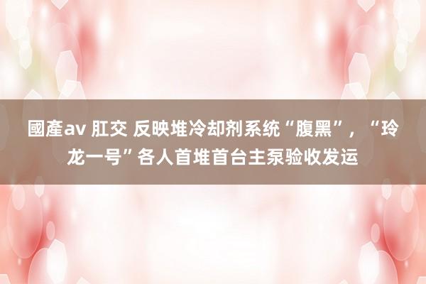 國產av 肛交 反映堆冷却剂系统“腹黑”，“玲龙一号”各人首堆首台主泵验收发运